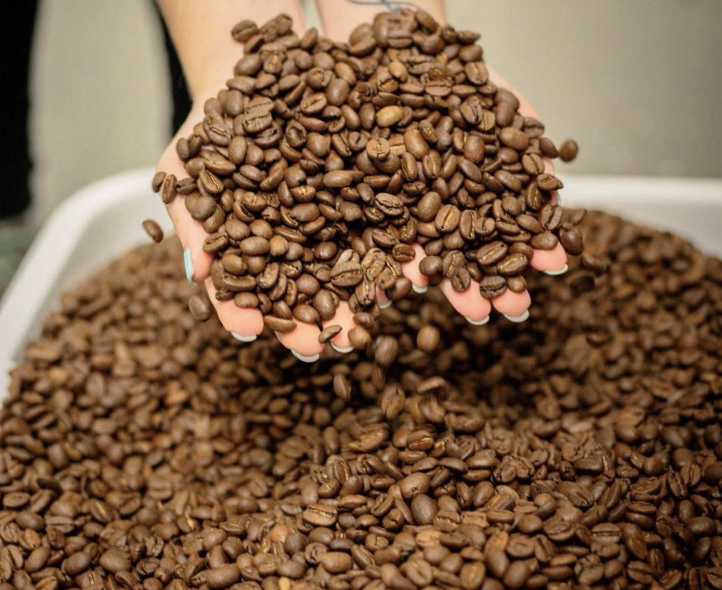 We roast the coffee beans with a unique hot air process that keeps its flavour and odor without any burnt as other roasting methods do.