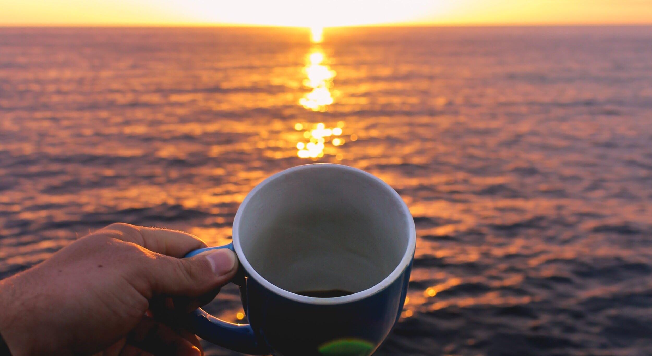 Florida is a great place to make premiuim roasted coffee beans you can buy online as beans or grinded coffee. We are proud of and have great fun making premiuim coffee in South Florida!